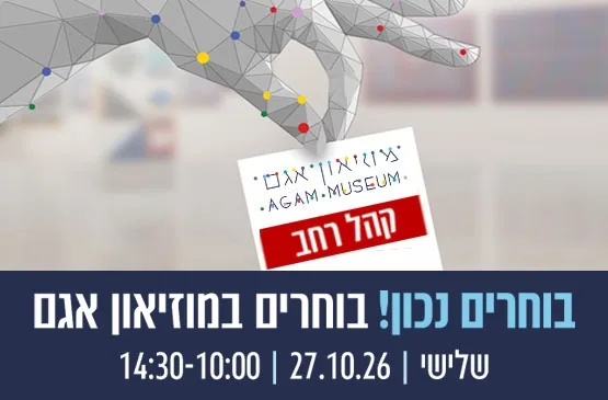 סיור אמנות במוזיאון אגם לקהל הרחב